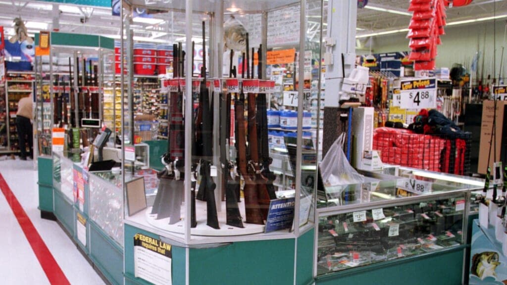 Guns for sale at Walmart