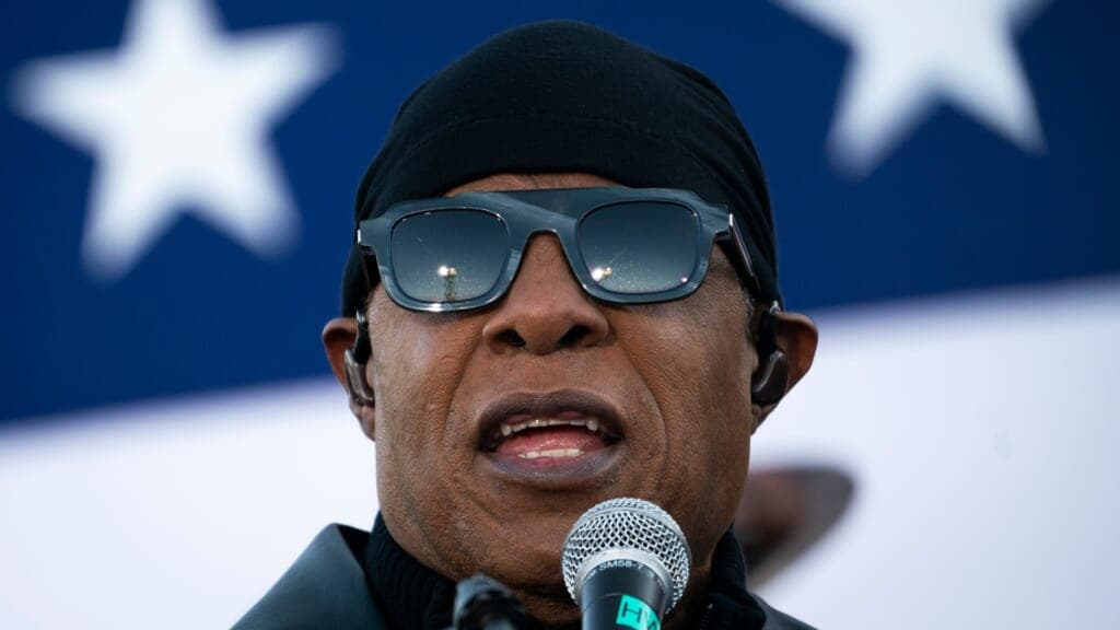 Singer Stevie Wonder