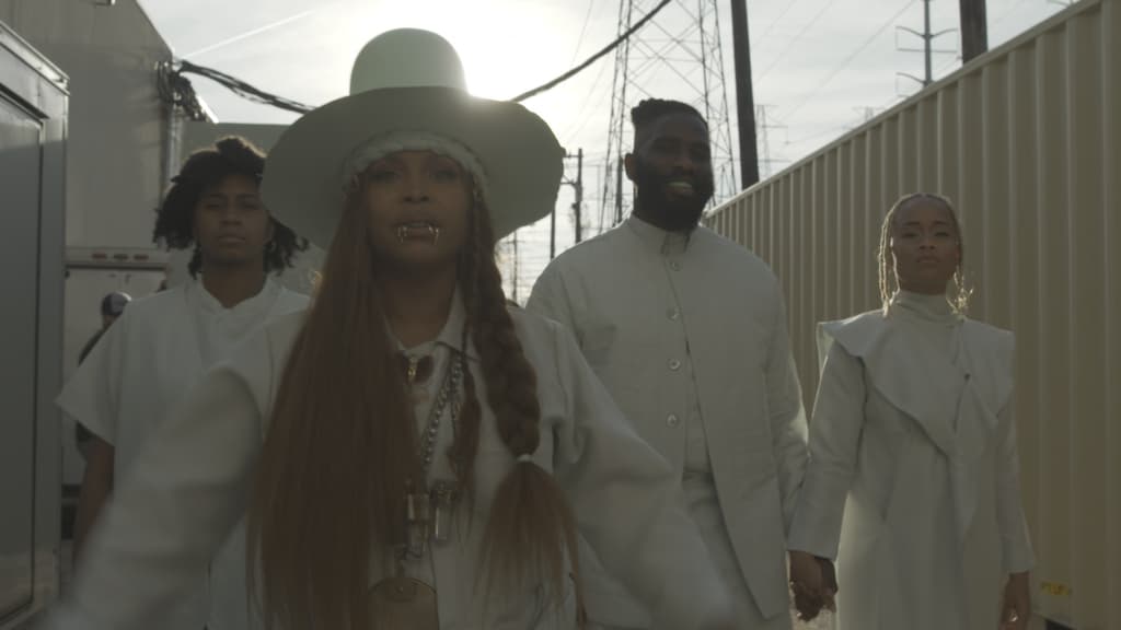 Musician Erykah Badu