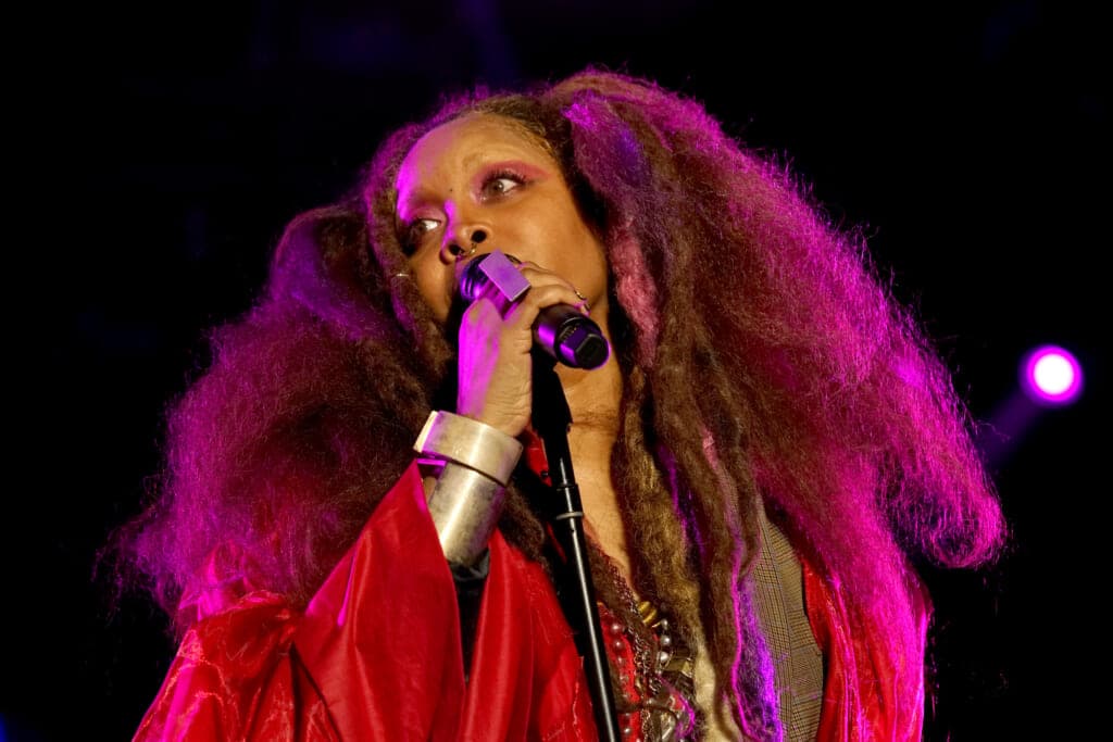 Erykah Badu performs 