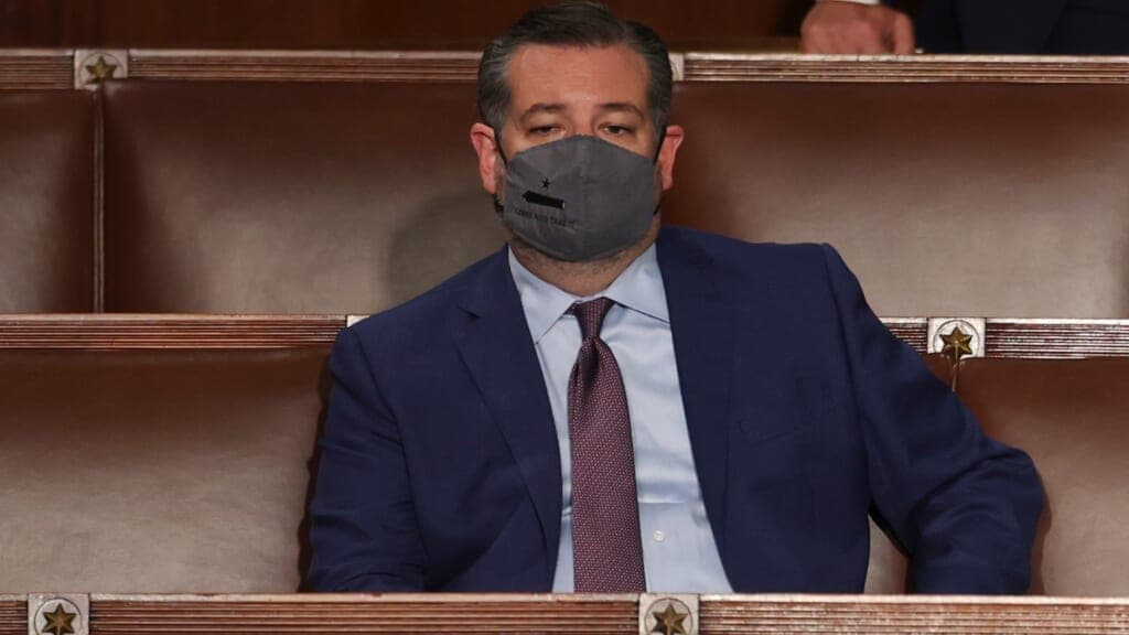 Texas Senator Ted Cruz wearing a gray face mask, navy jacket and purple tie