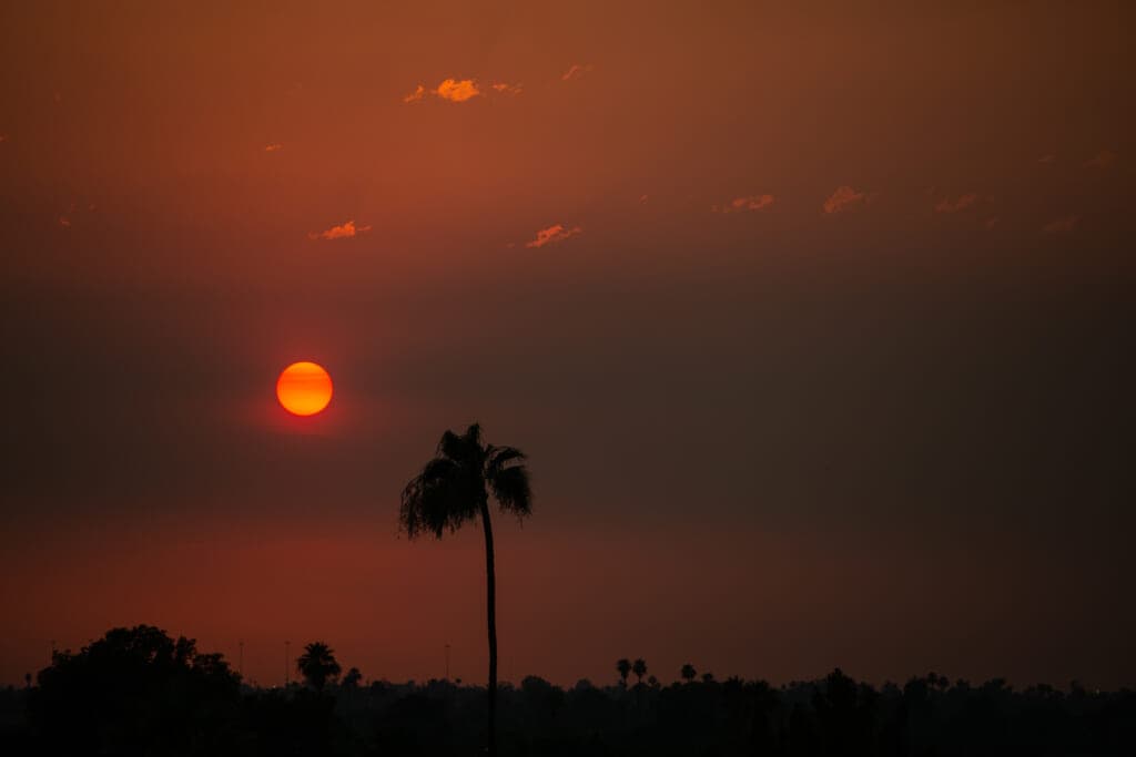 A landscape in Phoenix, Arizona