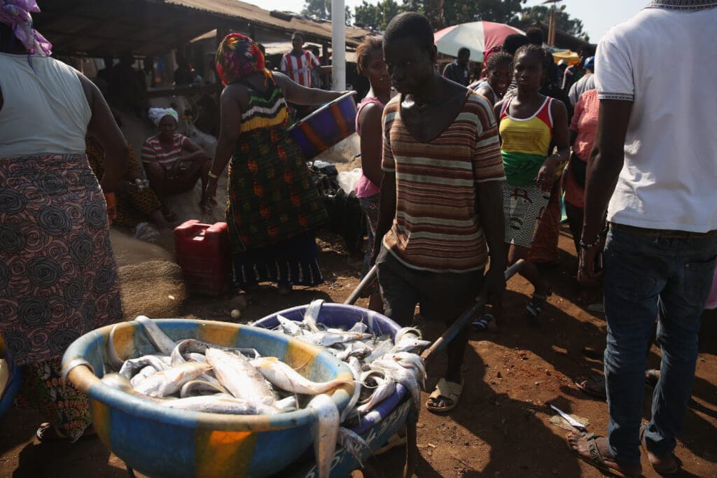 A man pushes a wheelbarrow full of fish