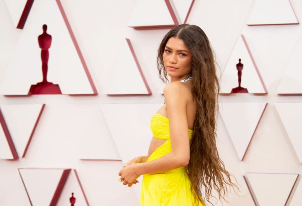 93rd Annual Academy Awards - Arrivals