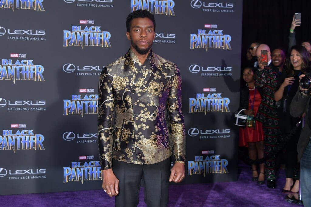 Black Panther Chadwick Boseman thegrio.com