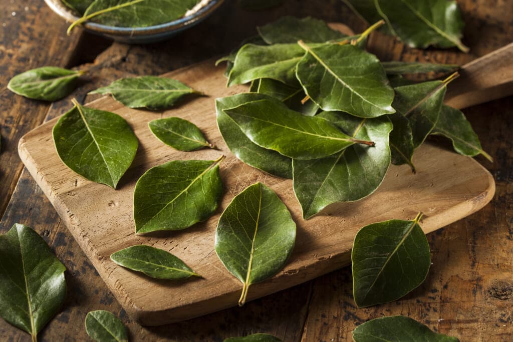 Bay leaves scattered over a cutting board