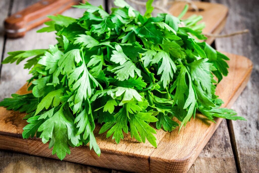A pile of parsley on a cutting board