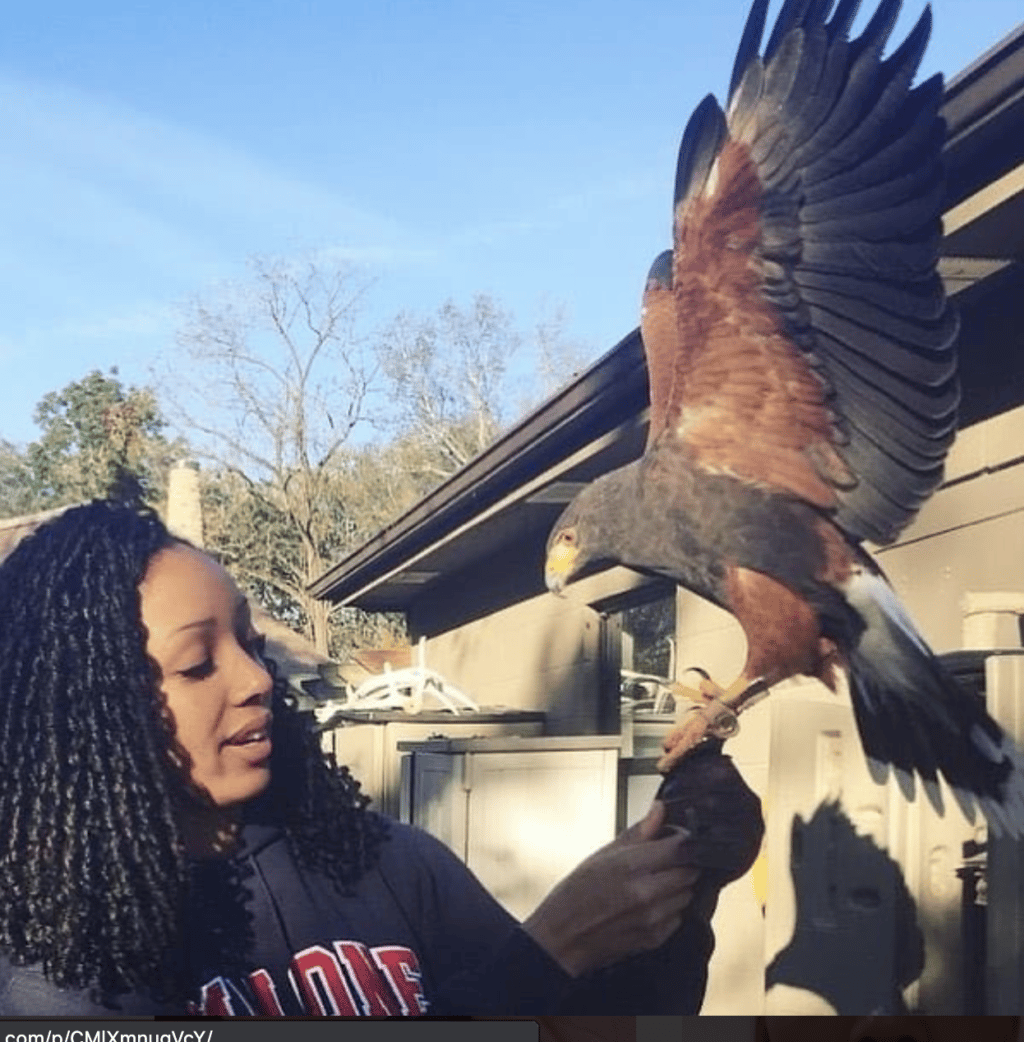 Ornithologist Corina Newsome with a large bird
