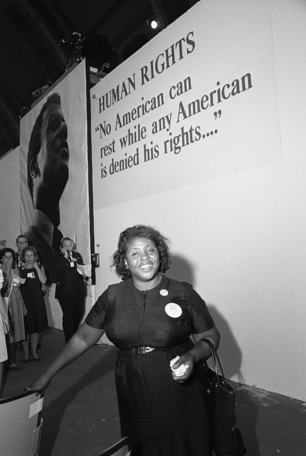 Mrs. Fannie Hamer of the Mississippi Freedom Democratic Party