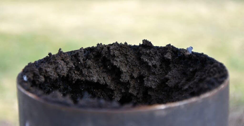 creosote thegrio.com