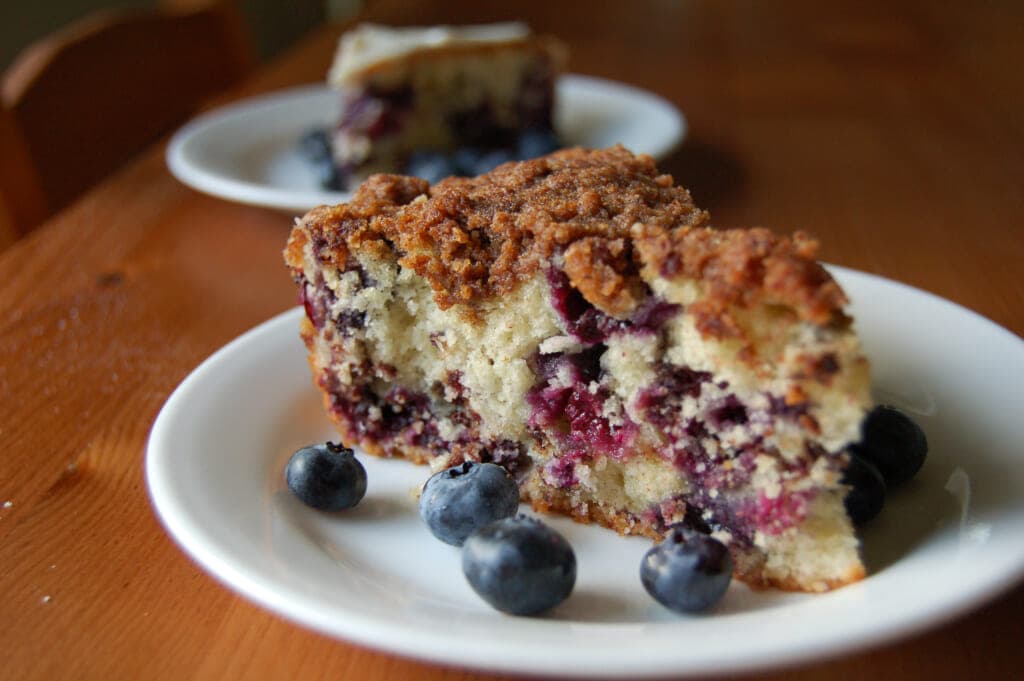 Blueberry Buckle (Adobe Stock Image)