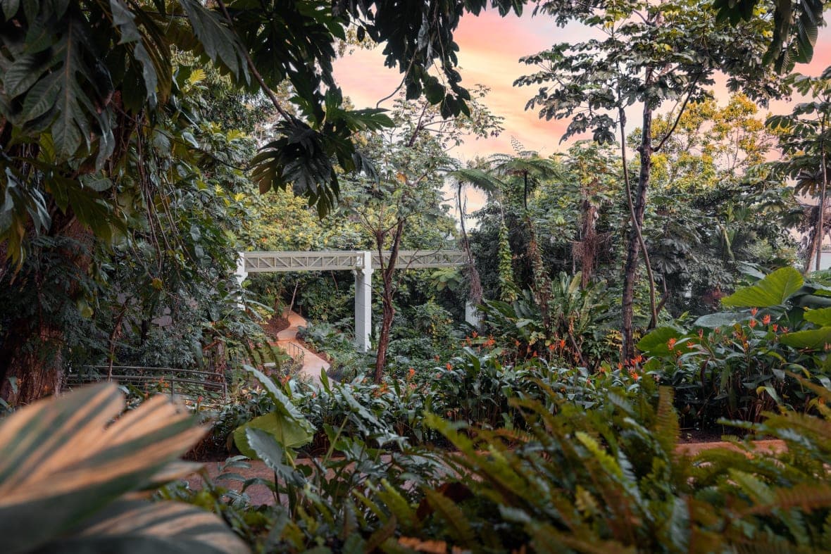 El Portal at El Yunque in Puerto Rico