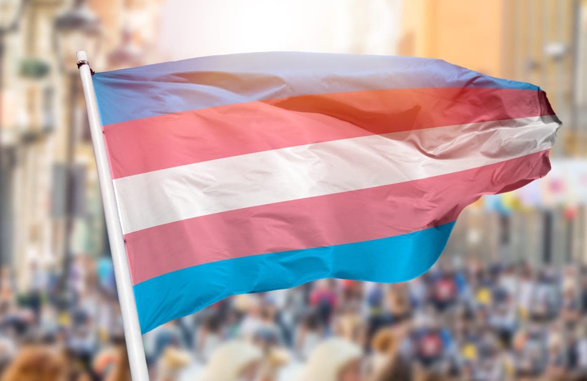 The transgender flag