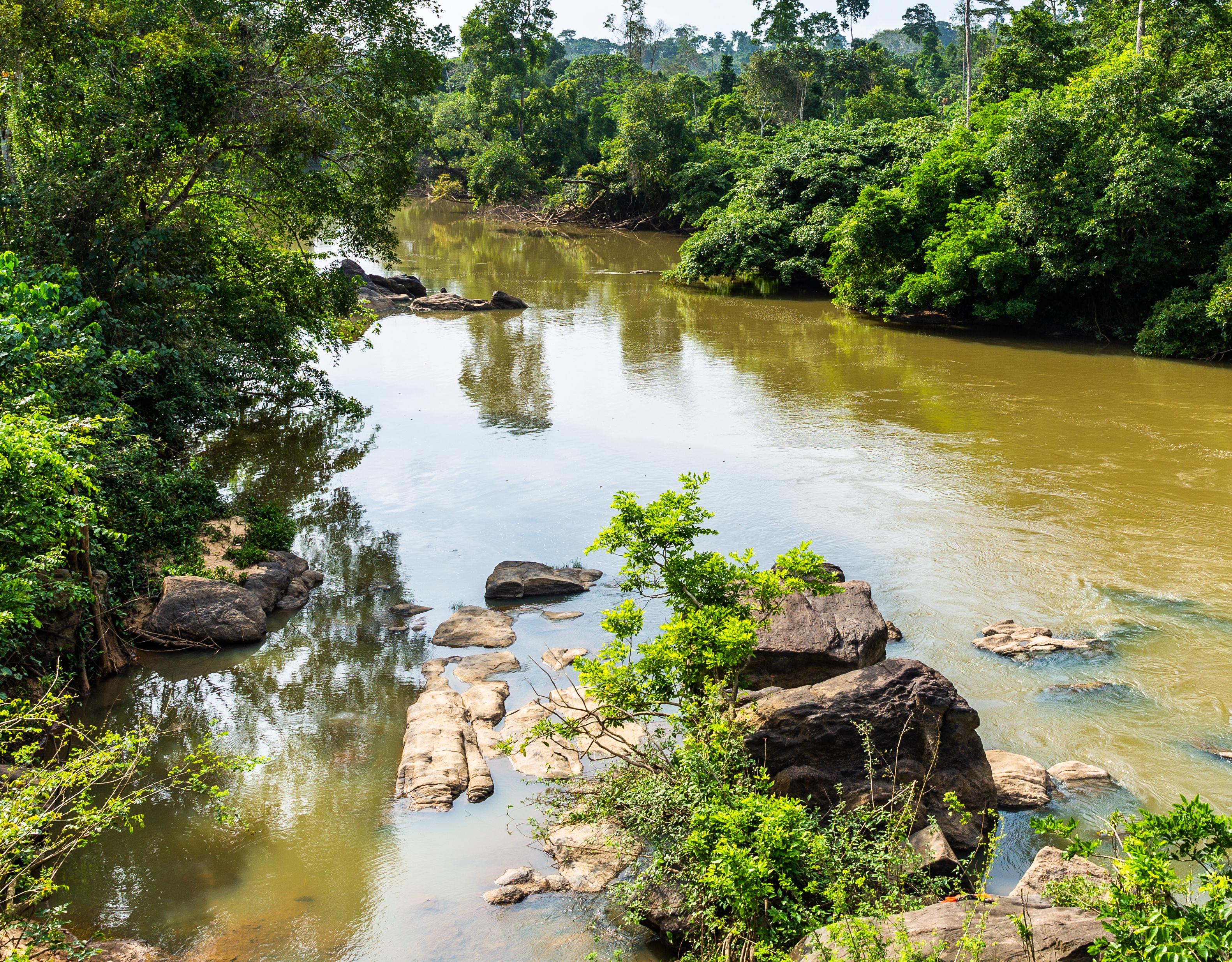 Omo Forest Reserve in Nigeria, theGrio.com
