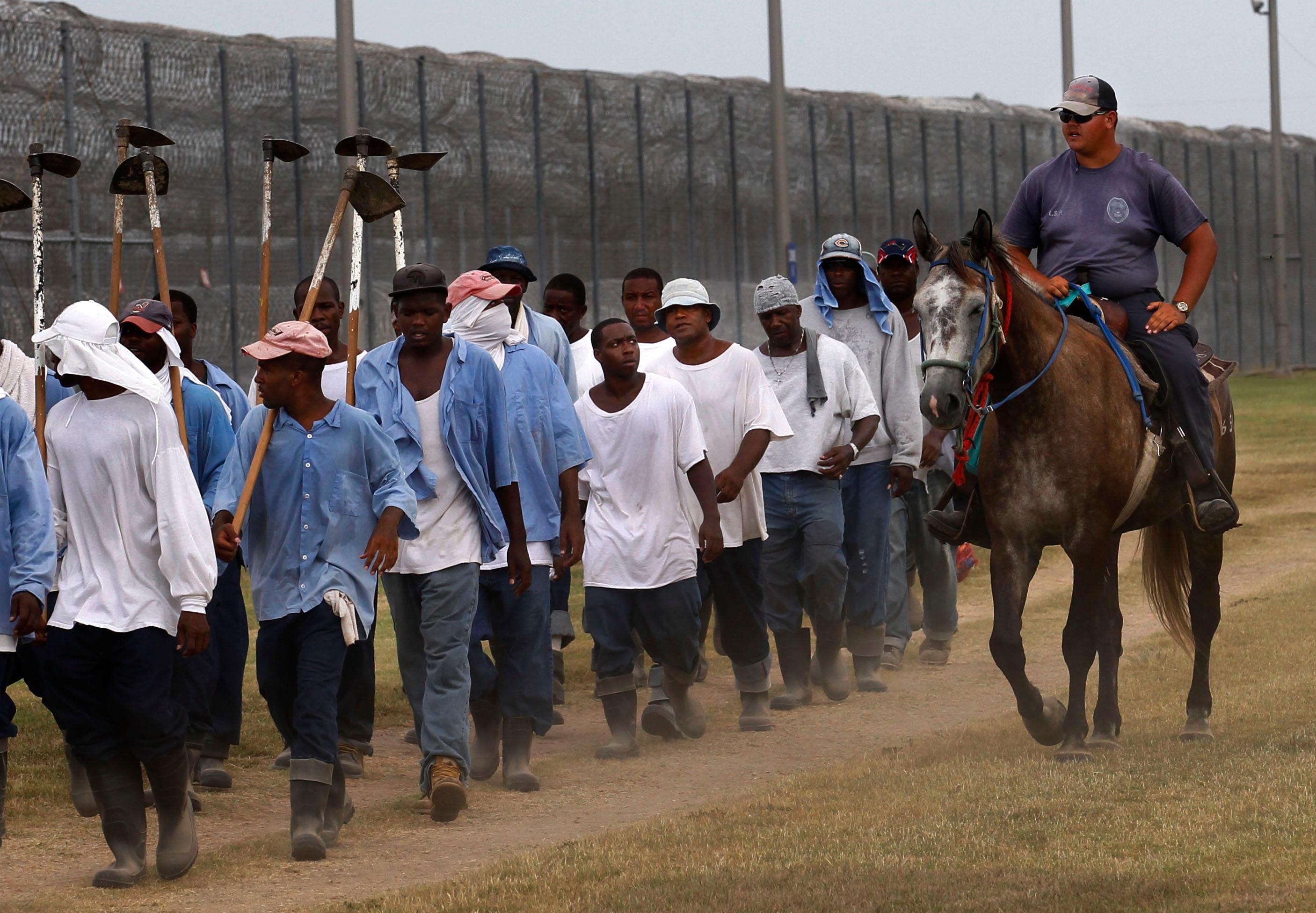 a prison guard rides a horse next to prisoners as they return from farm work detail at the Louisiana State Penitentiary