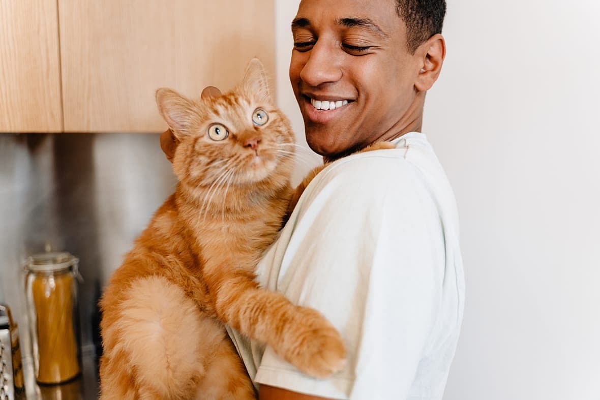 pets, pet toys, best toys for pets, cat toys, cat toy safety, theGrio.com