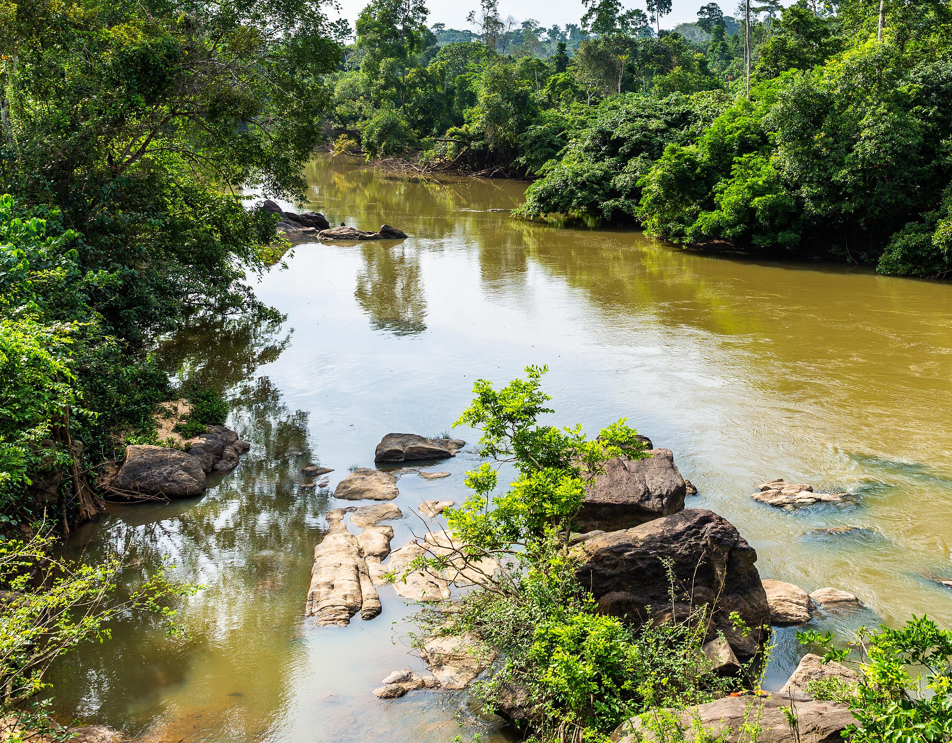 Omo Forest Reserve in Nigeria, theGrio.com