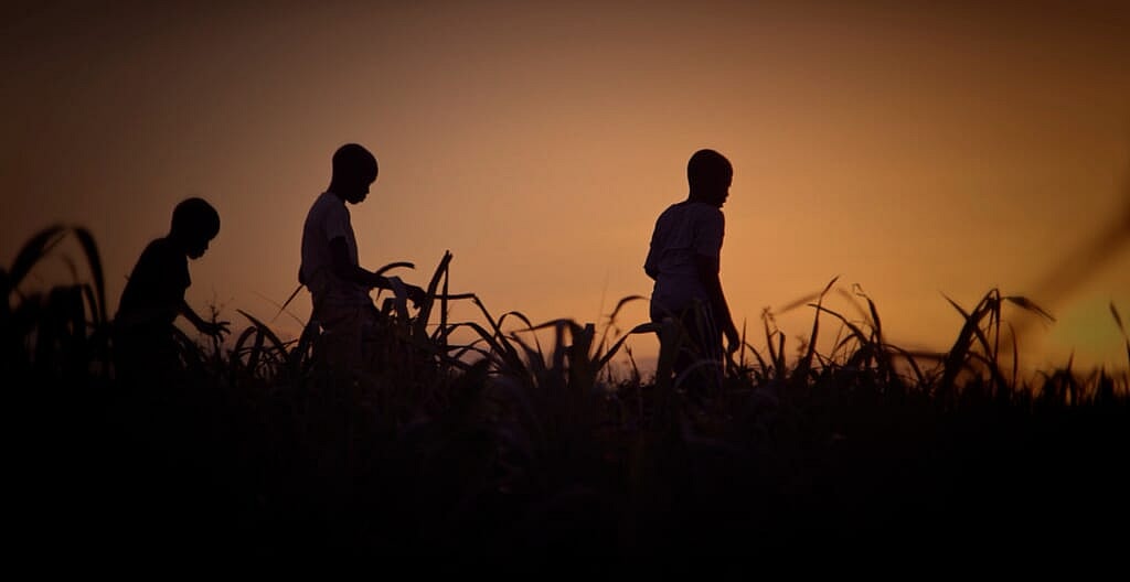 Stateless thegrio.com