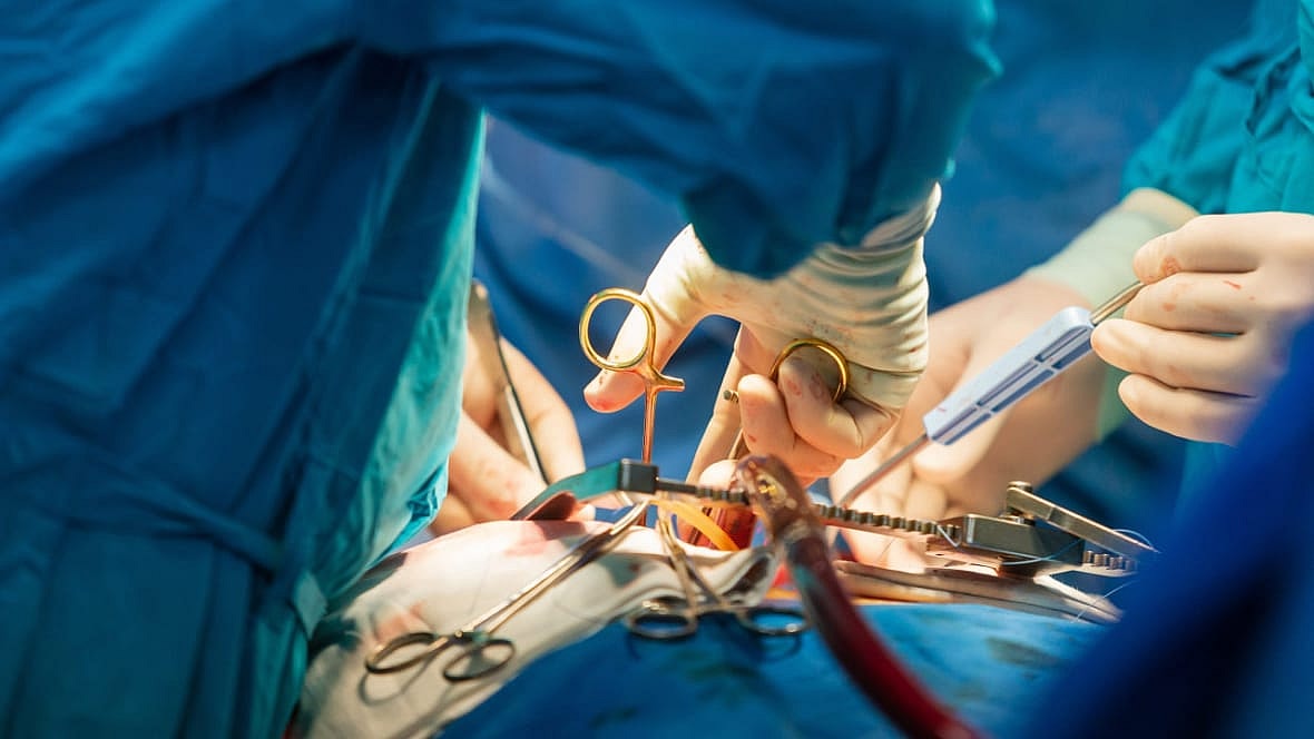 Black kidney transplant