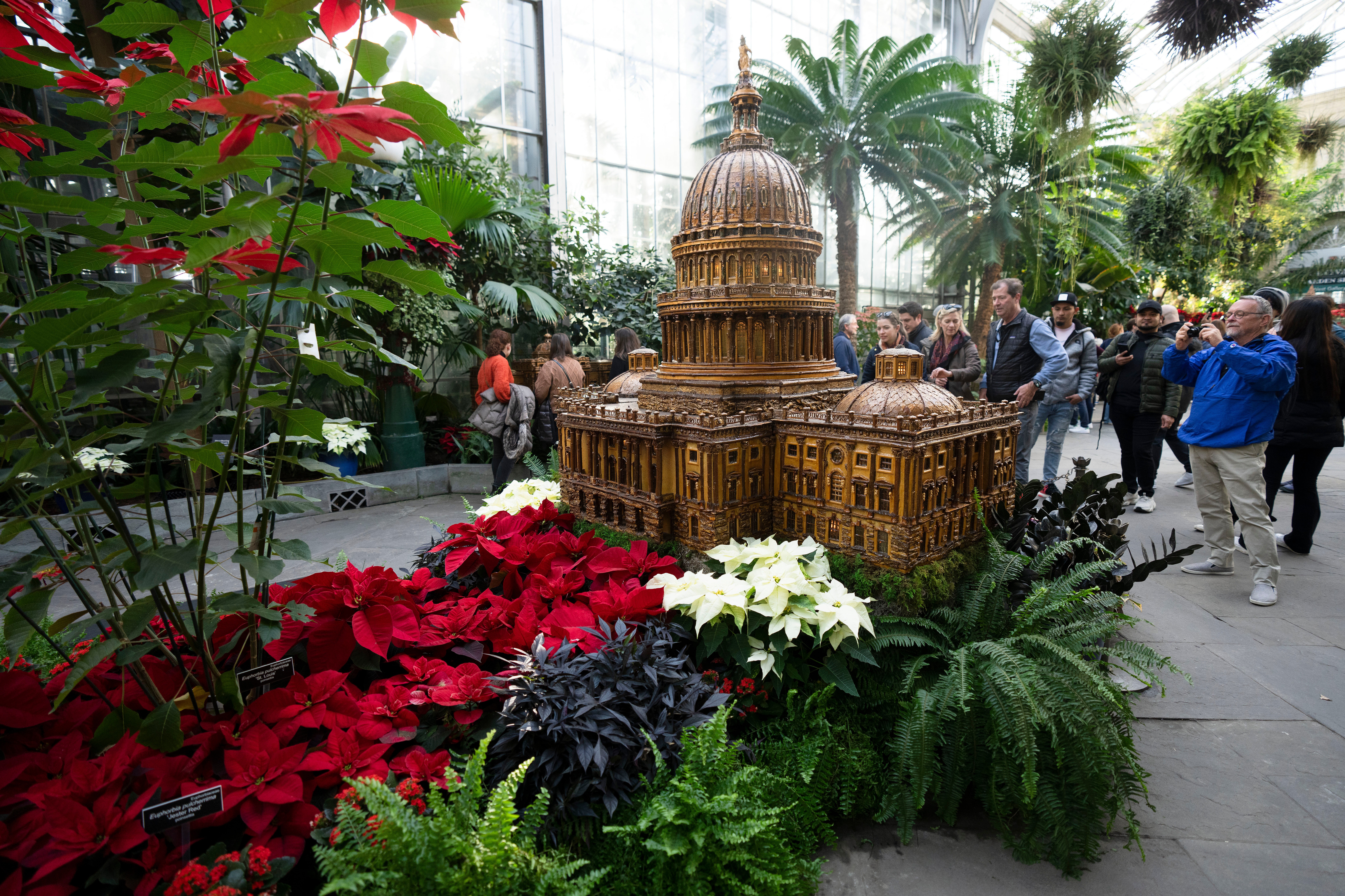 Visitors look at a replica of the U.S. Capitol adorned with different varieties of poinsettias