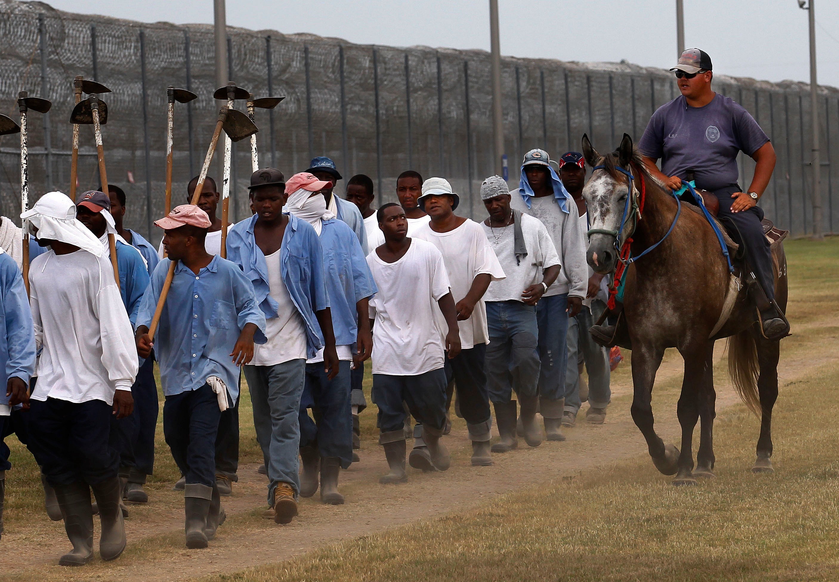 a prison guard rides a horse next to prisoners as they return from farm work detail at the Louisiana State Penitentiary