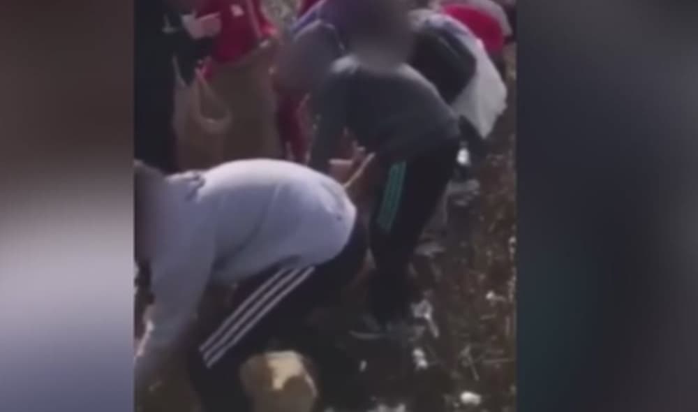 Mom outraged after child picks cotton and sings slave songs on class trip. (Fox 46) thegrio.com
