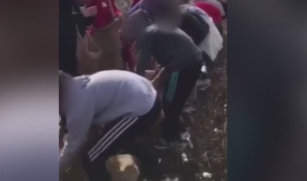 Mom outraged after child picks cotton and sings slave songs on class trip. (Fox 46) thegrio.com