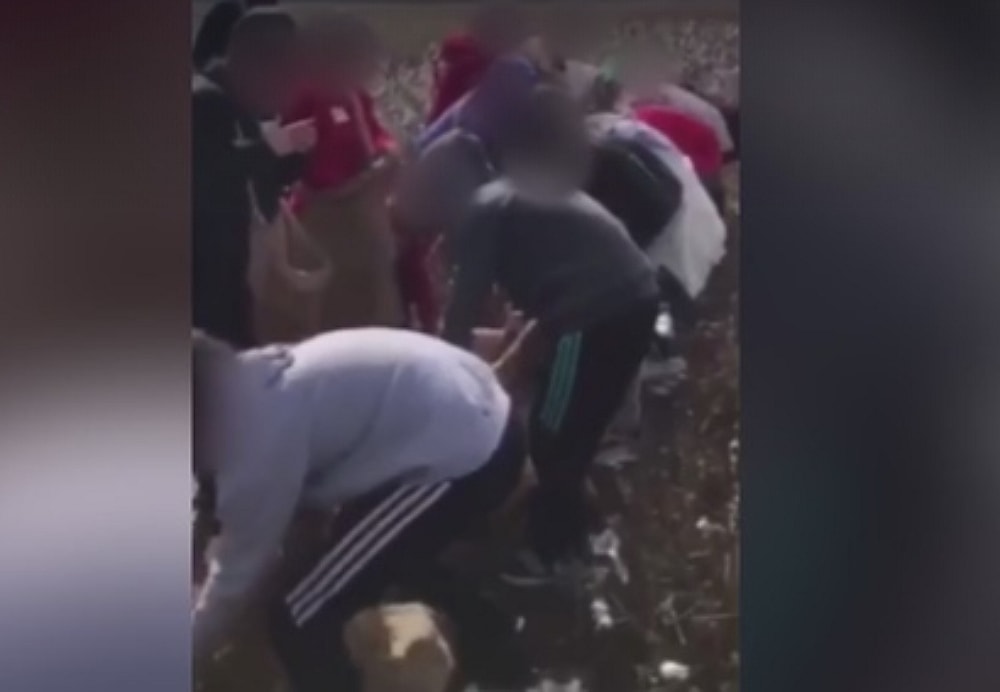 Mom outraged after child picks cotton and sings slave songs on class trip. (Fox 46) thegrio.com