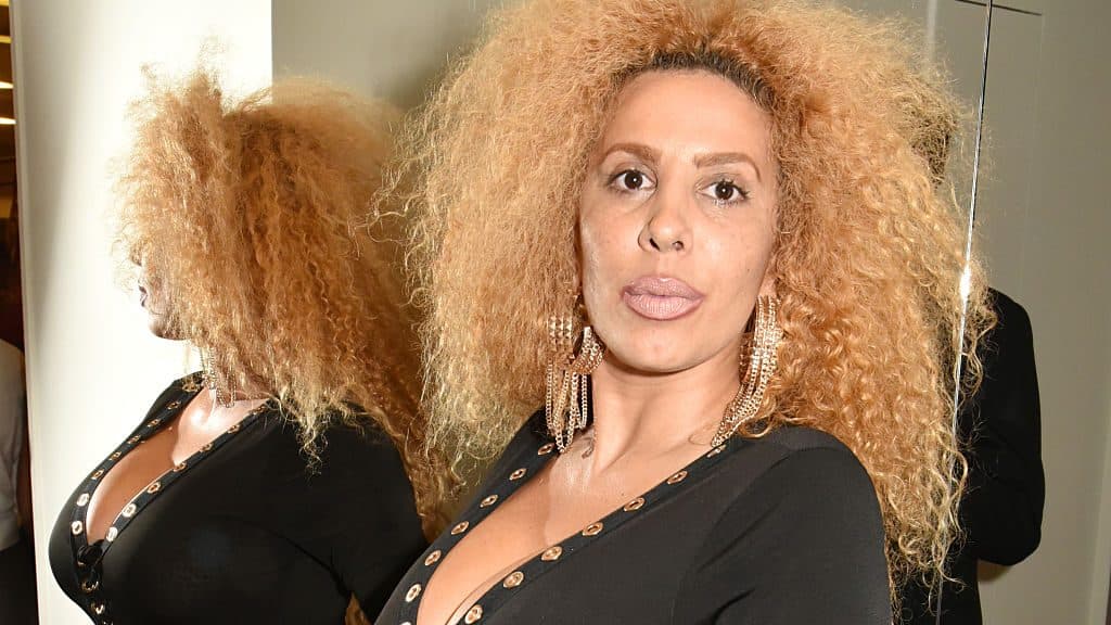 Afida Turner, Ronnie Turner, Tina Turner, IVF, theGrio.com