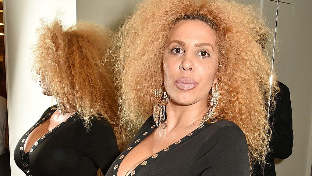 Afida Turner, Ronnie Turner, Tina Turner, IVF, theGrio.com