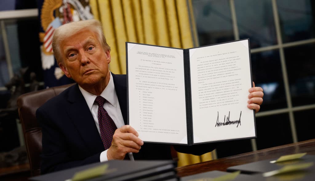 Donald Trump, theGrio.com