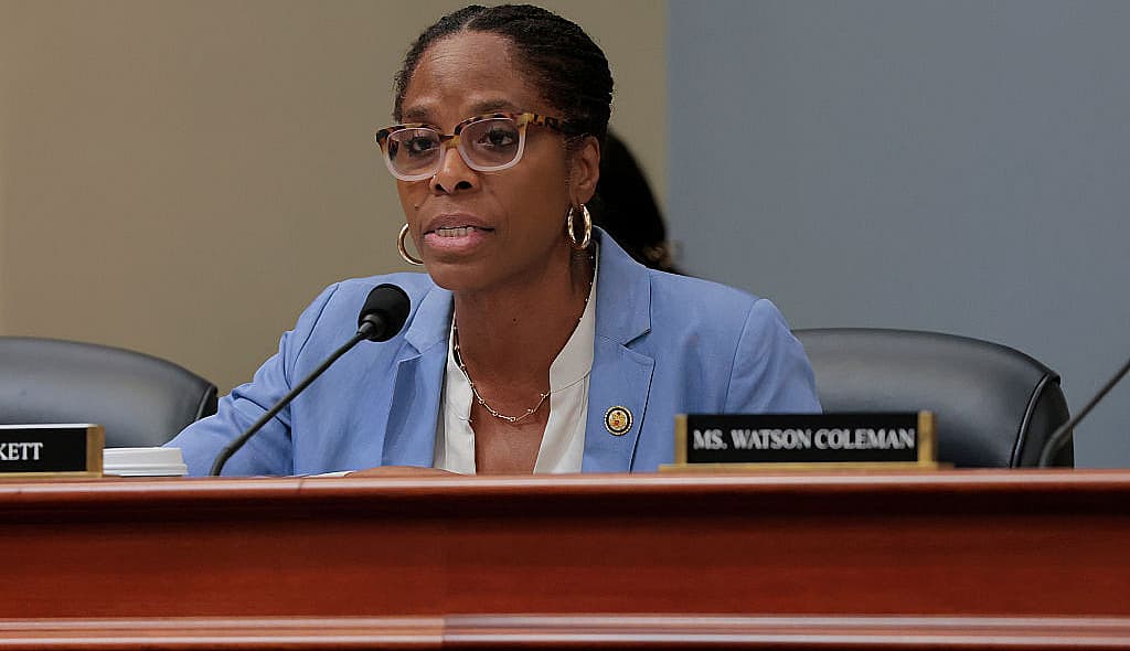 Stacey Plaskett, theGrio.com