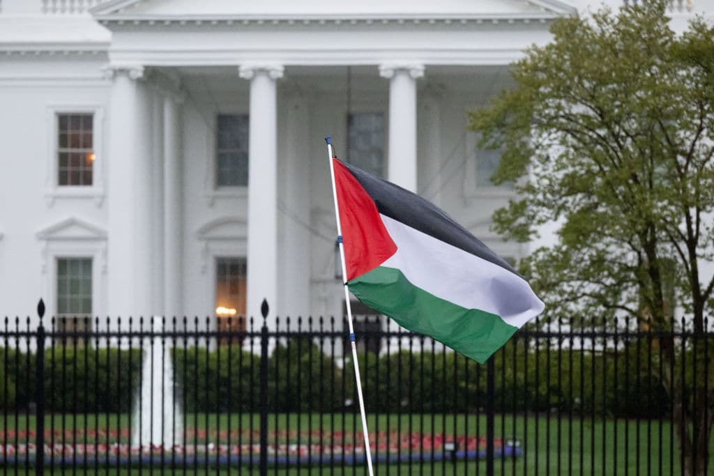 Pro-Palestinian demonstrators wave a Palestinian flag