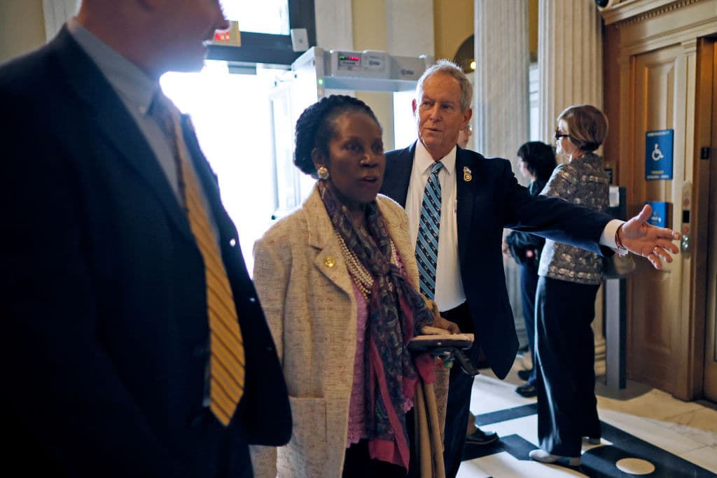 Sheila Jackson Lee, theGrio.com