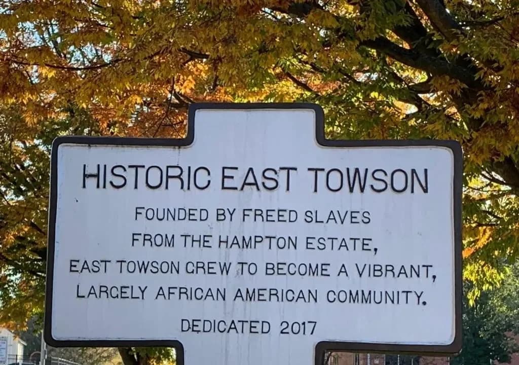 East Towson Maryland, Black community development fight, Baltimore County wetlands development, historic Black neighborhood, Maryland, thegrio.com