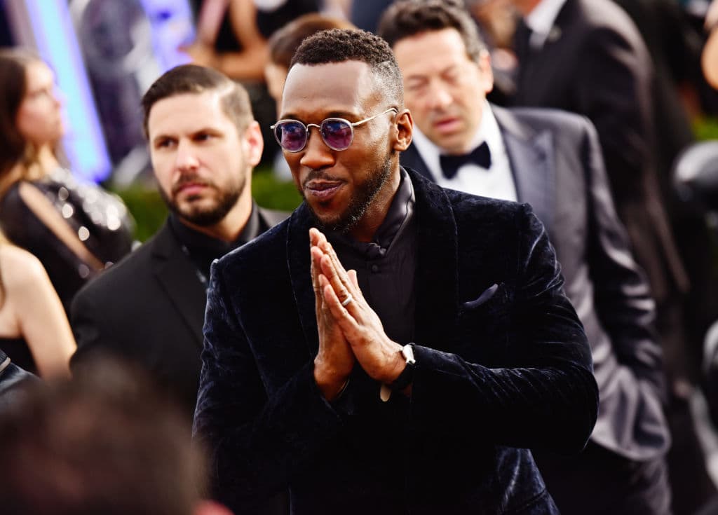 26th Annual Screen Actors Guild Awards - Fan Bleachers