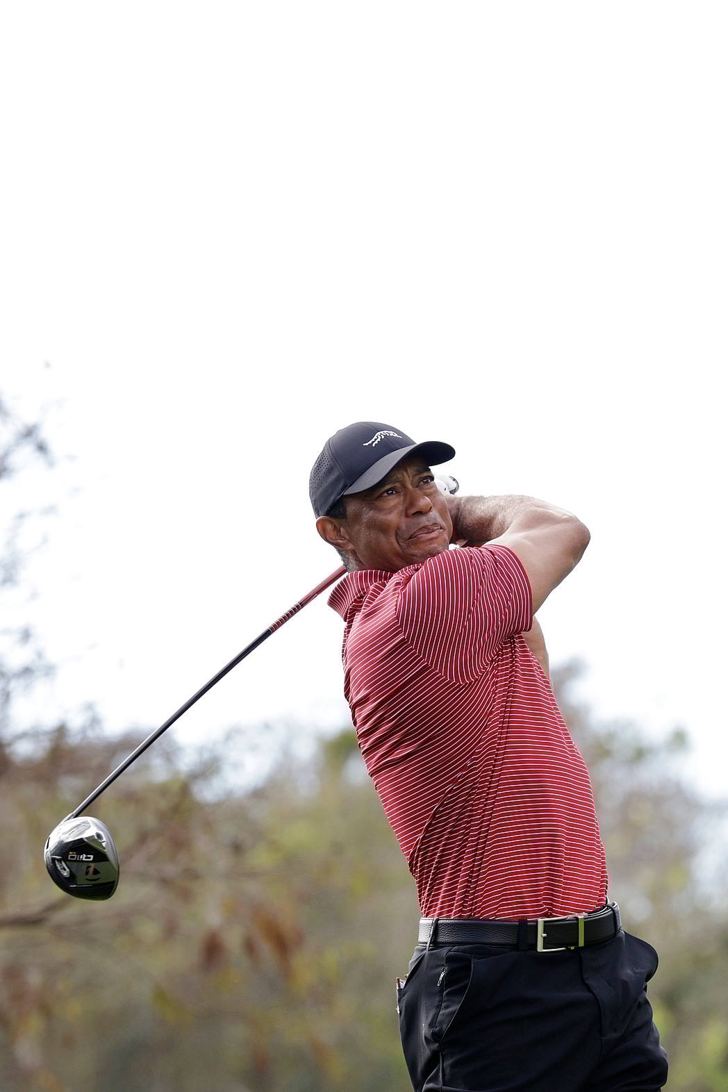 Oprah, LeBron James, Rihanna, Jay-Z, Tiger Woods, Michael Jordan, Forbes, Black billionaires, theGrio.com