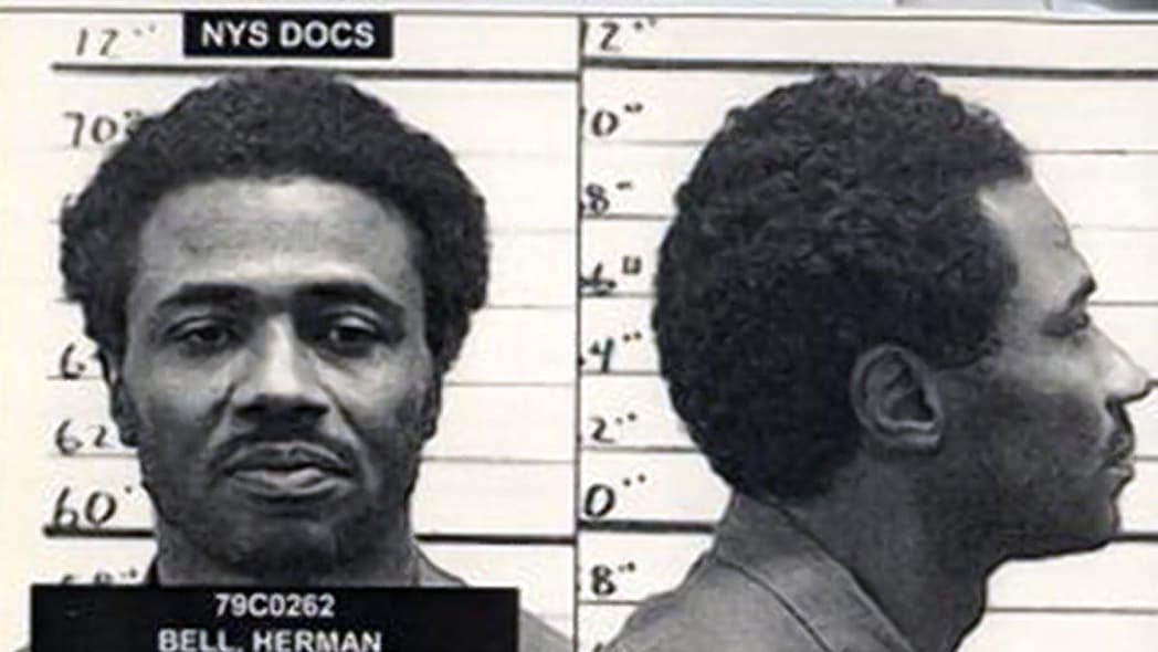black liberation army radical paroled