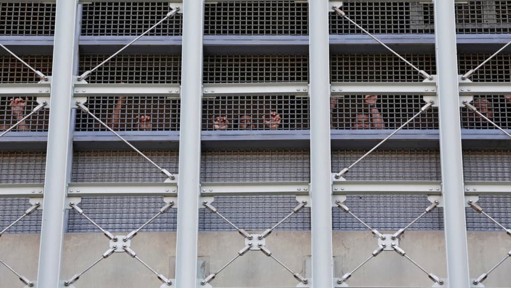 jail thegrio.com
