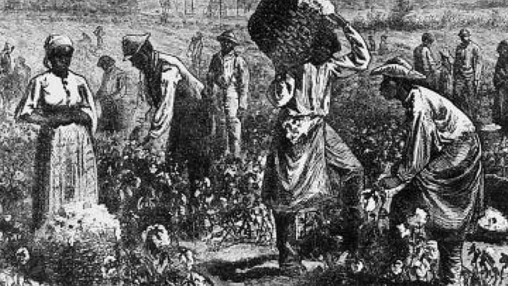 slavery, thegrio.com