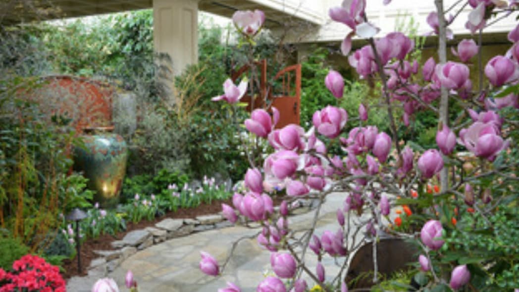 Spring