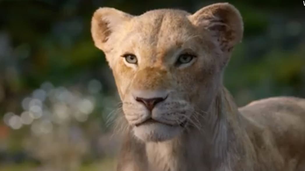 Nala/ Lion King