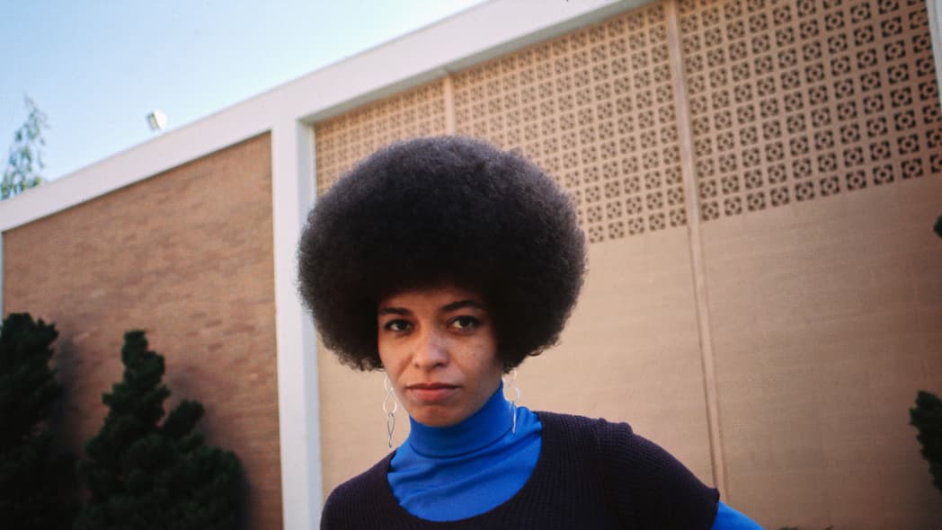 Angela Davis, Communist writer and militant activist
