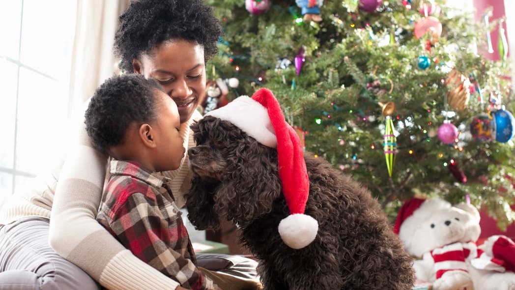 Pet Holiday Gift Guide, Black-owned pet brands, theGrio.com