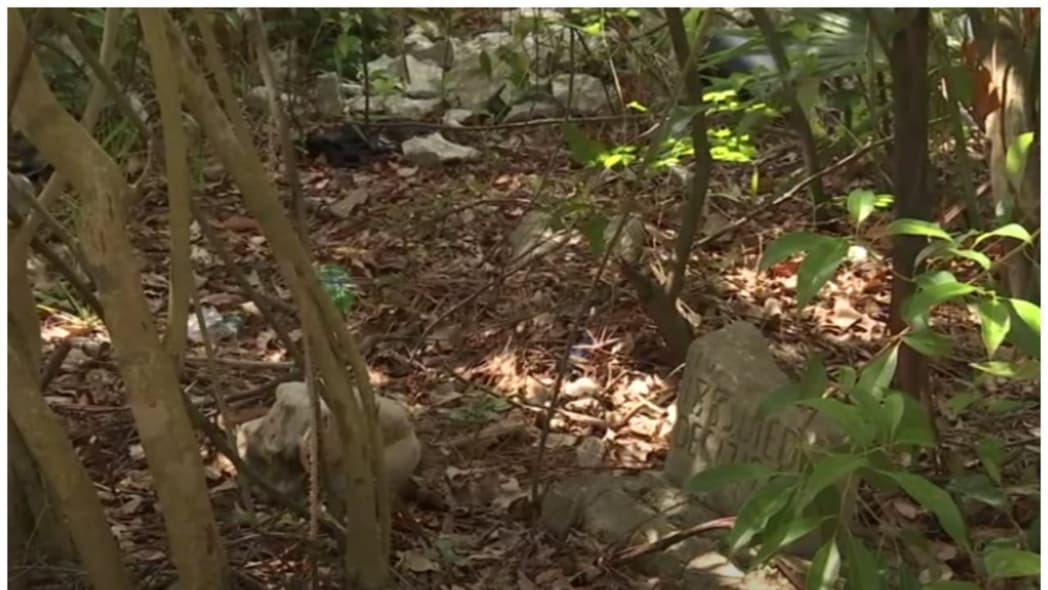Black veterans buried at overgrown Jacksonville cemetery call for cleanup