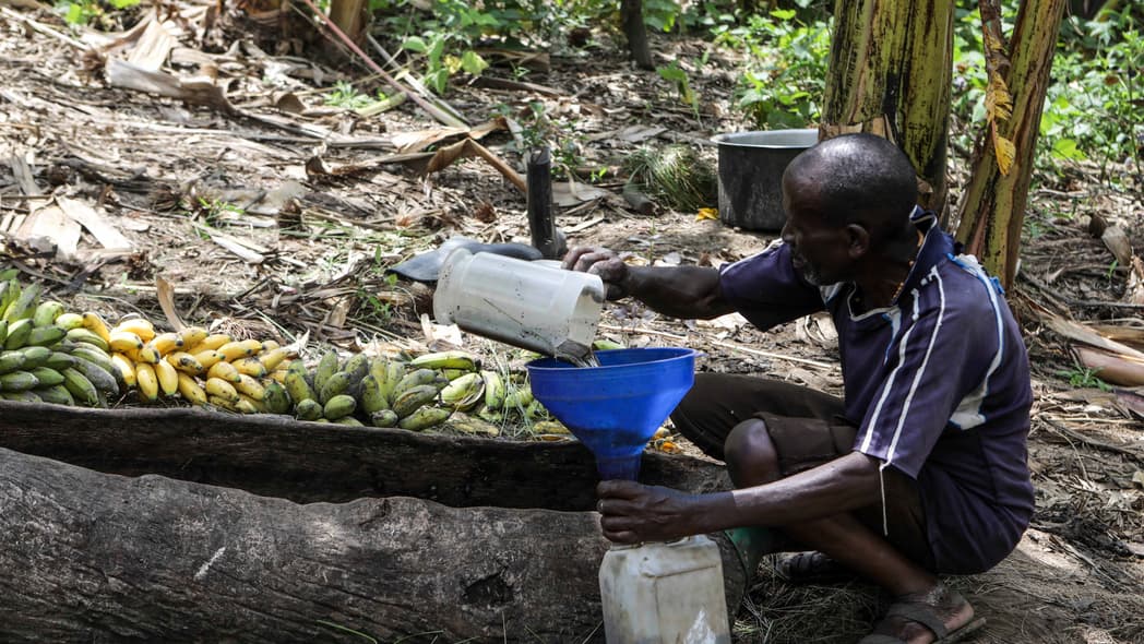 Uganda, theGrio.com