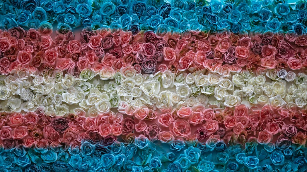 Transgender Day of Remembrance, transgender, trans rights, trans remembrance, trans safety, transgender violence, theGrio.com