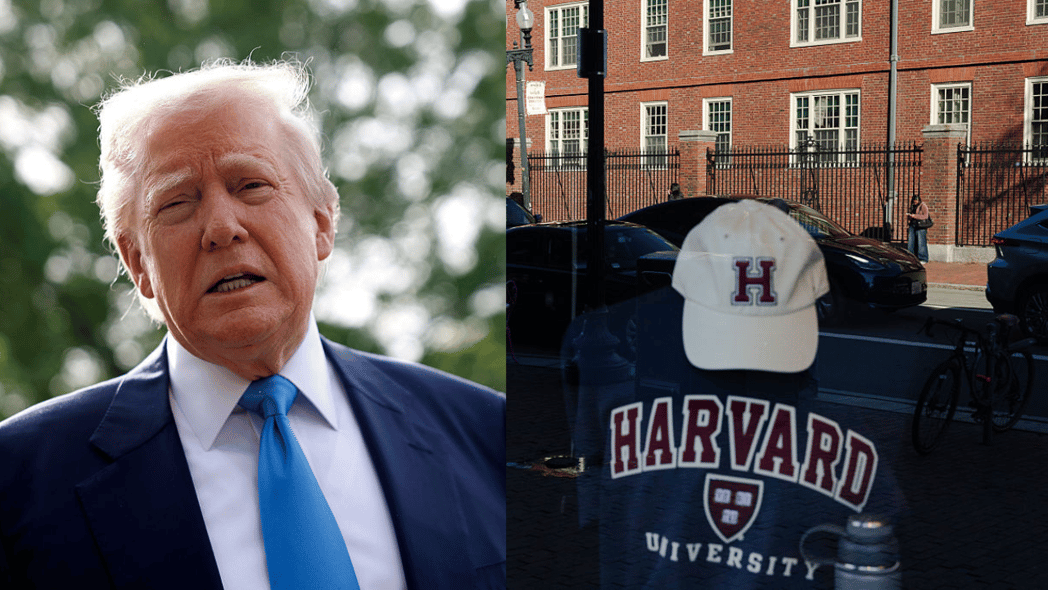 Donald Trump, Harvard, theGrio.com