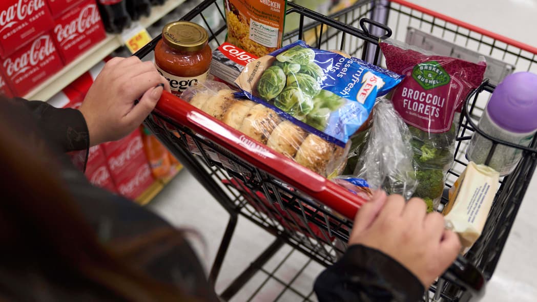 SNAP benefits, Trump Administration, Government shutdown