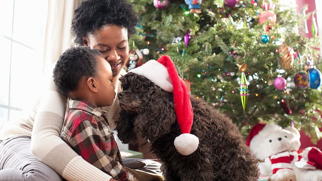 Pet Holiday Gift Guide, Black-owned pet brands, theGrio.com